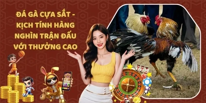 Đá Gà Cựa Sắt - Kịch Tính Hàng Nghìn Trận Đấu Với Thưởng Cao