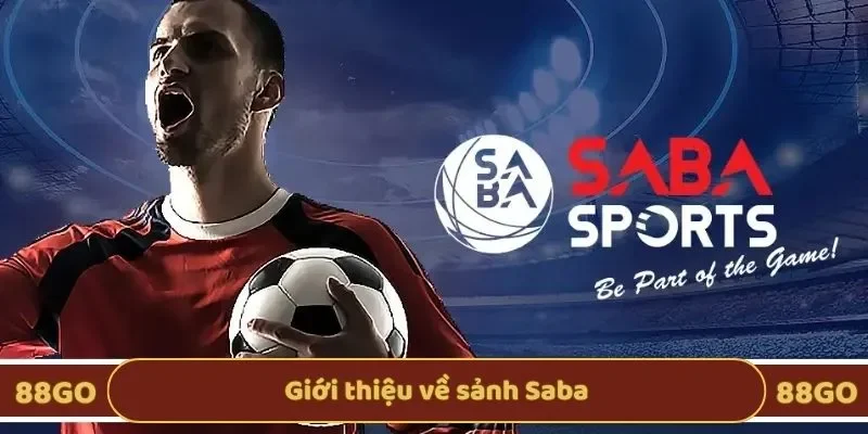 Giới thiệu về sảnh Saba