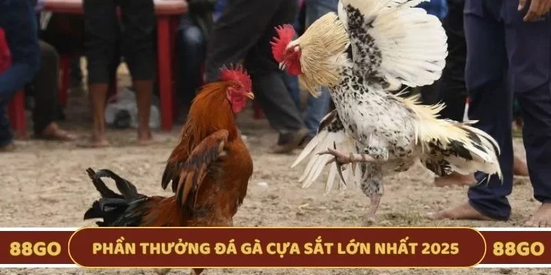 Phần thưởng nổi bật hội viên dành được lớn nhất 2025