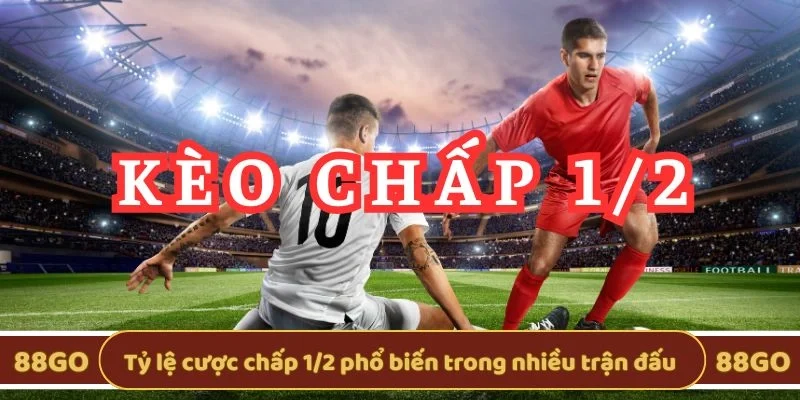 Tỷ lệ cược chấp 1/2 phổ biến trong nhiều trận đấu
